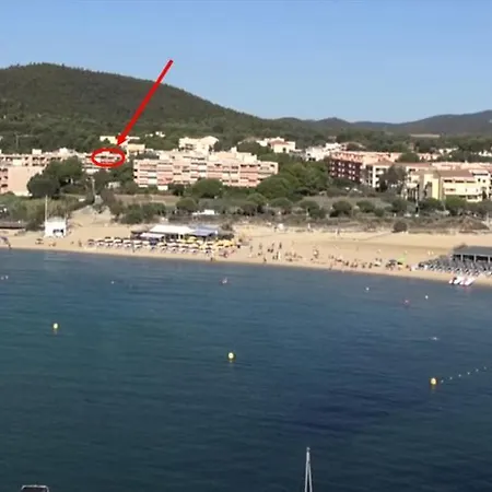 T2 La Faviere, A 150 M De La Mer, Garage, Piscine Bormes-les-Mimosas